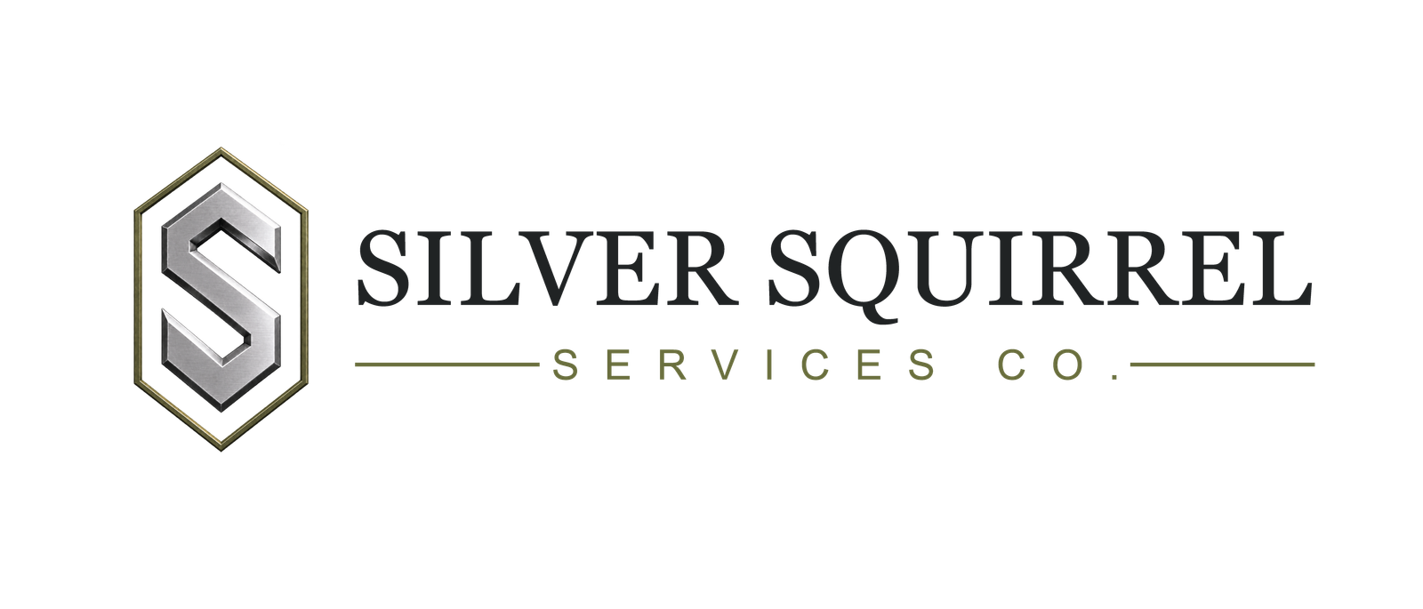 Silver Squirrel Services Co.